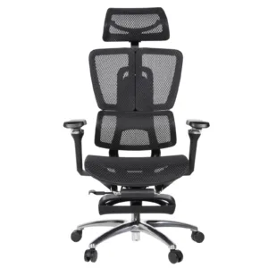 Apex Professional Chair