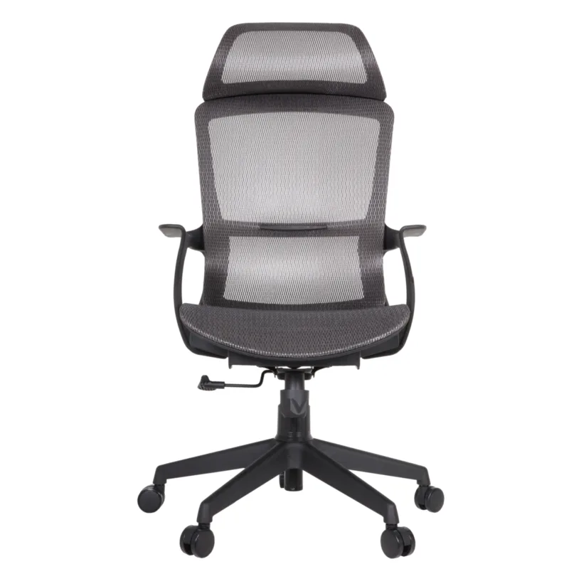 Century Executive Chair
