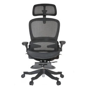 Gavin Professional Chair