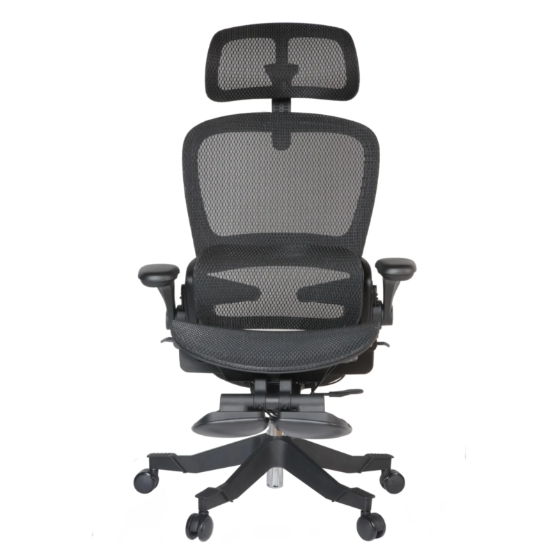 Gavin Professional Chair