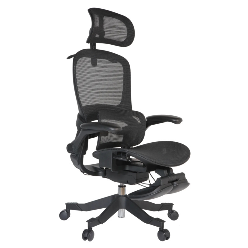 Gavin Professional Chair