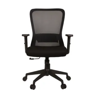 Natya Secretary Chair