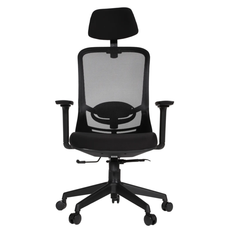 Picca 62IMG_0004_1 Picca Executive Chair