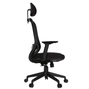 Picca 62IMG_0006 Picca Executive Chair