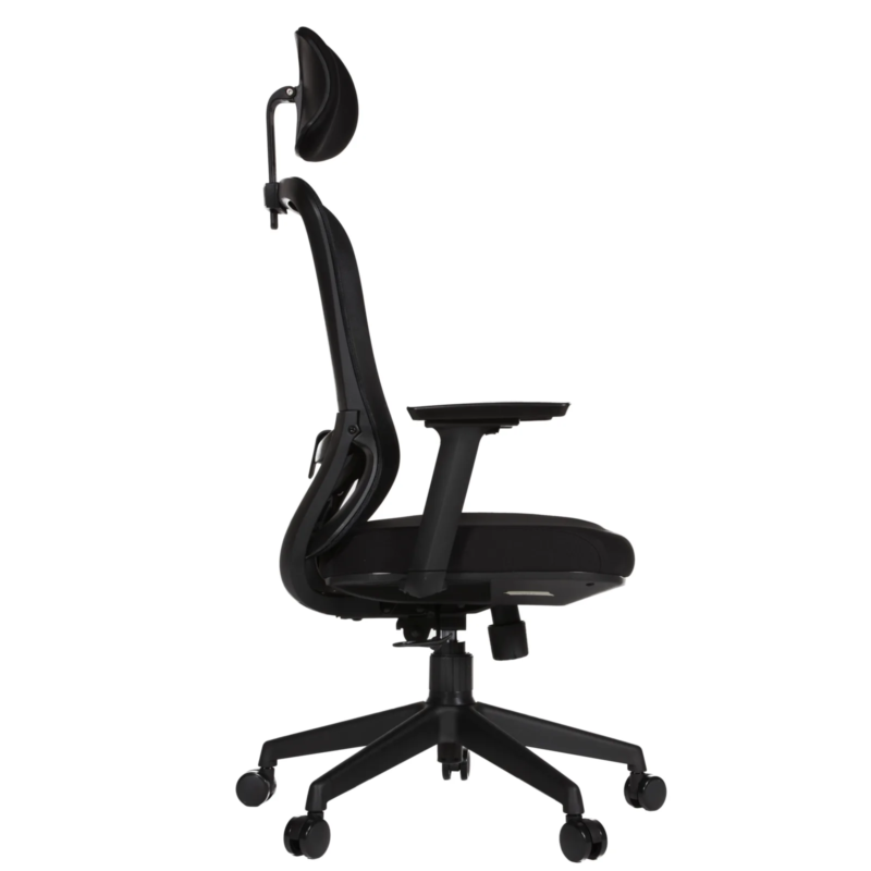 Picca 62IMG_0006 Picca Executive Chair