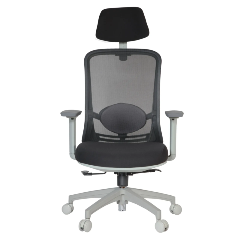 Picca B IMG_0023_1 Picca Executive Chair