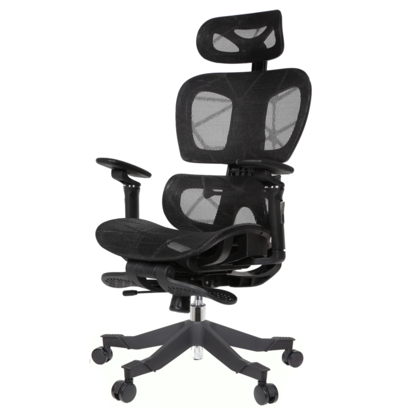 Rista Professional Chair