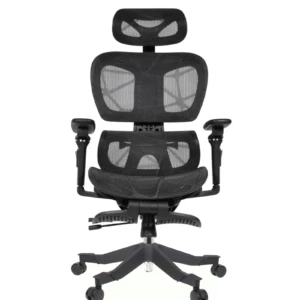 Rista Professional Chair