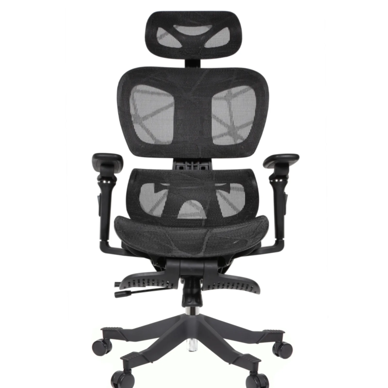 Rista Professional Chair