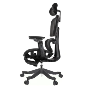 Rista Professional Chair