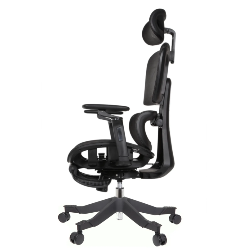 Rista Professional Chair