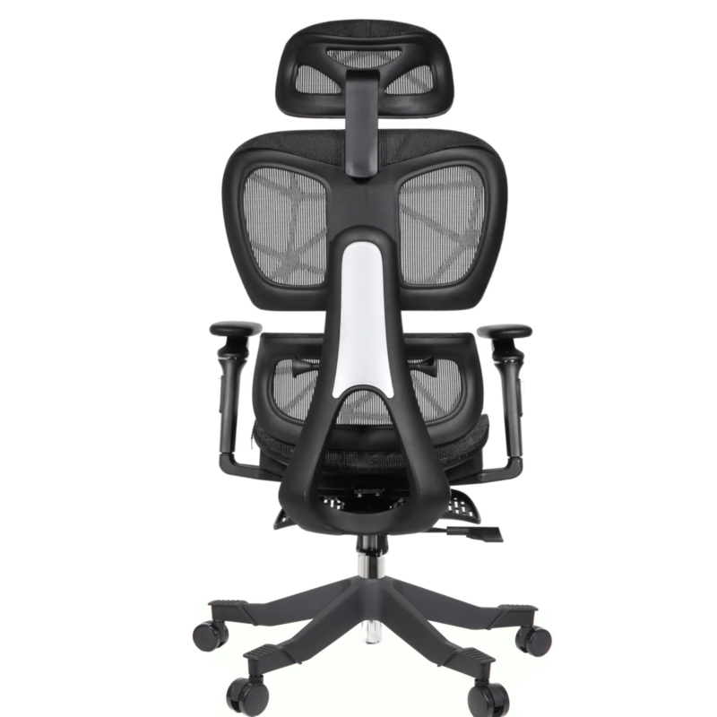 Rista Professional Chair