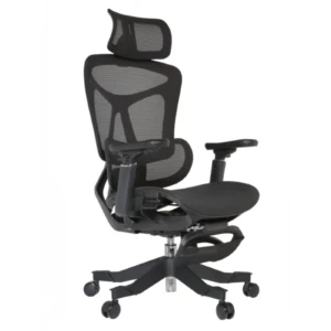 Summit IMG_0001_1 Summit Professional Chair