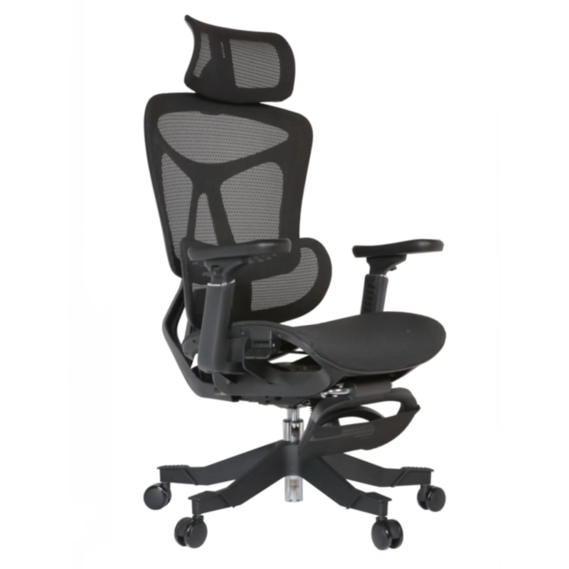 Summit IMG_0001_1 Summit Professional Chair