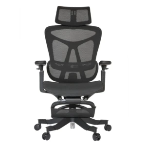 Summit IMG_0001_2 Summit Professional Chair