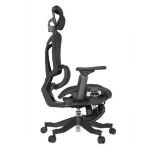 Summit IMG_0003_3 Summit Professional Chair