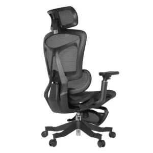Summit IMG_0009_1 Summit Professional Chair