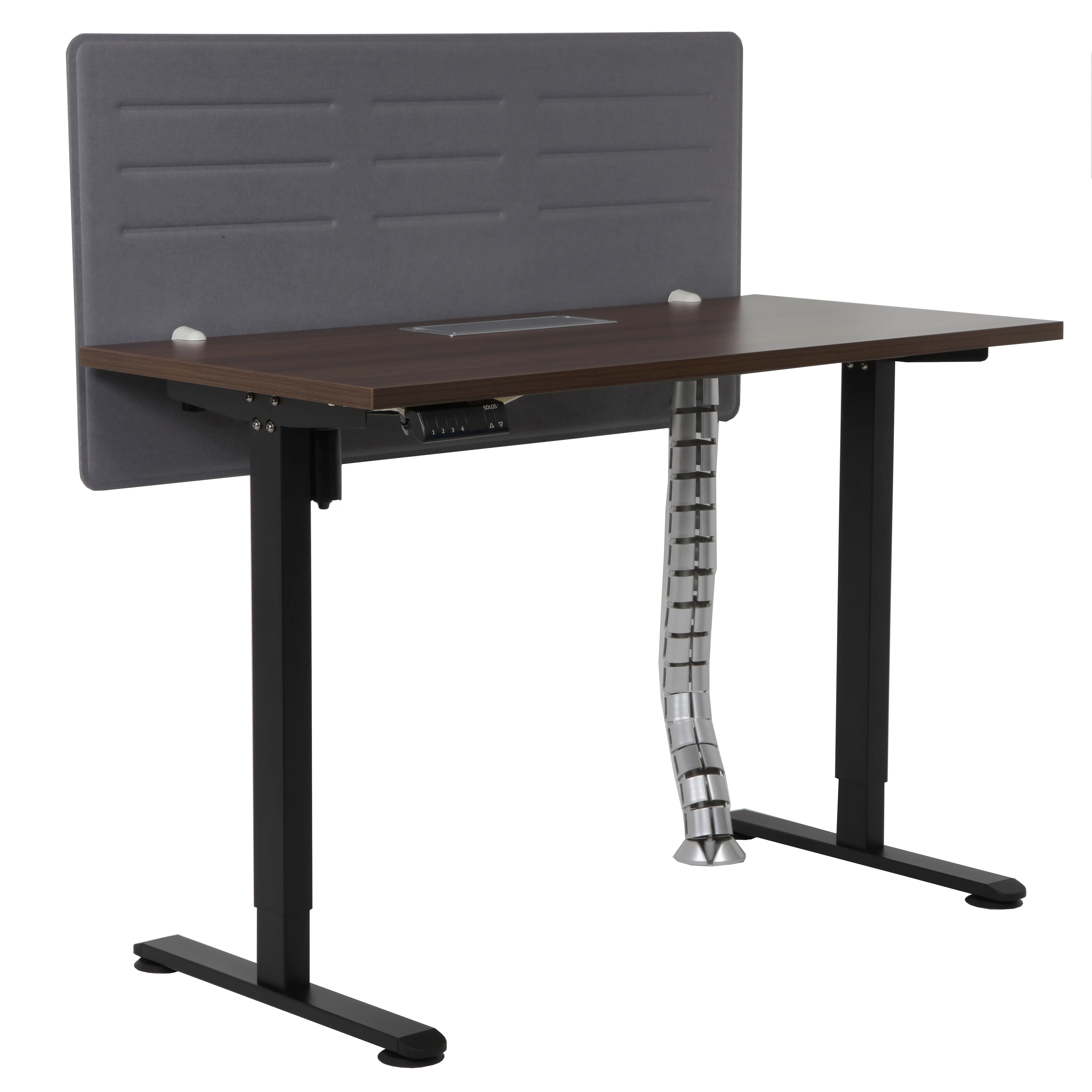 Xper 1260 Walnut 30Aug1146 Xper Height Adjustable Table