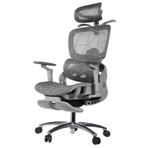 Zenith IMG_62IMG_0005 Zenith Professional Chair
