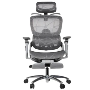 Zenith IMG_62IMG_0009_2 Zenith Professional Chair