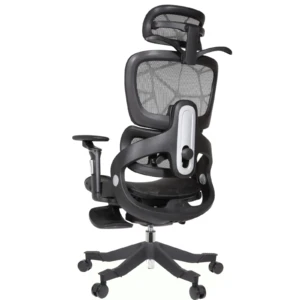 Zenith IMG_62IMG_0021 Summit Professional Chair