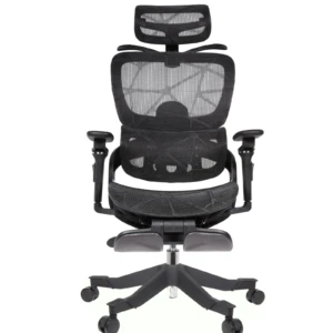 Zenith IMG_62IMG_0024 Summit Professional Chair