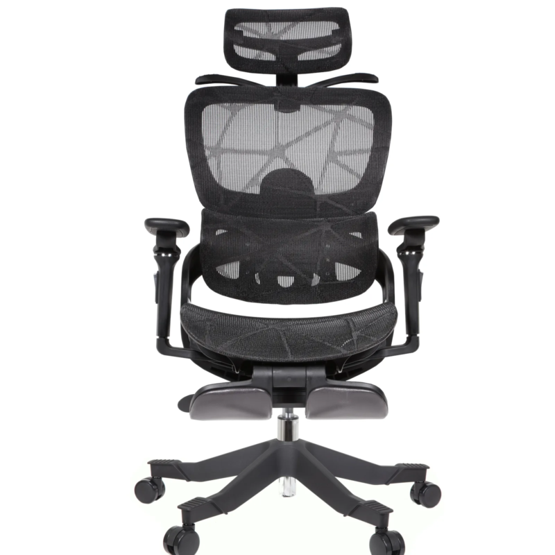 Zenith IMG_62IMG_0024 Summit Professional Chair
