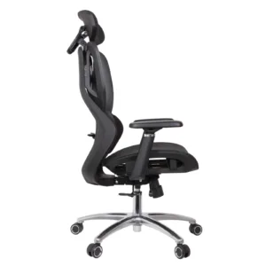 Nihon Professional Chair