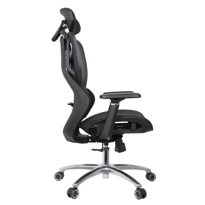 Nihon Professional Chair