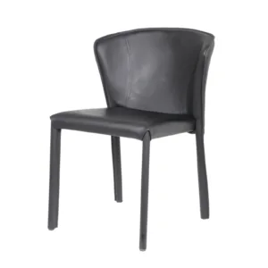 Sedan Leisure Chair