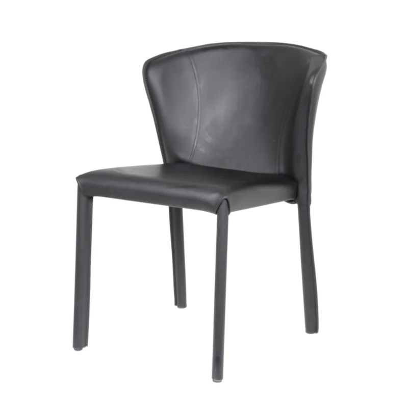 Sedan Leisure Chair