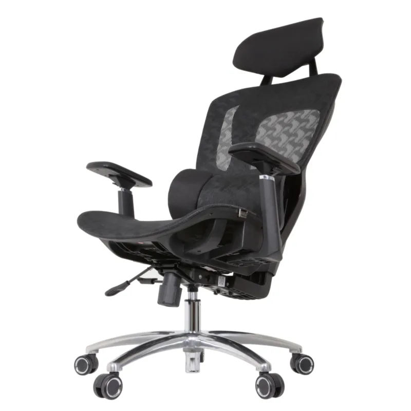 Sugi Professional Chair