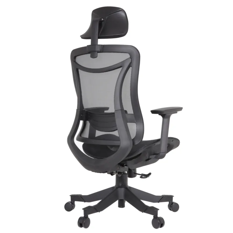 Louisa IMG_0028 Louisa Executive Chair