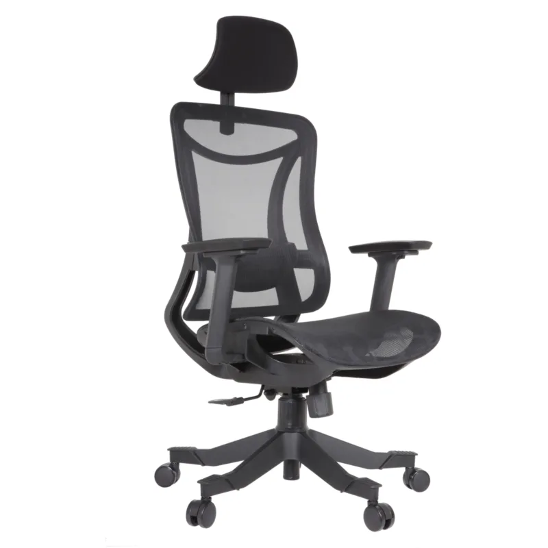 Louisa IMG_0029 Louisa Executive Chair