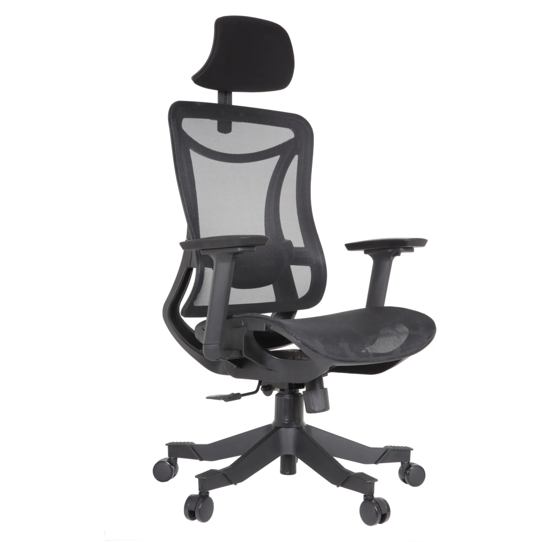 Louisa IMG_0029 Louisa Executive Chair