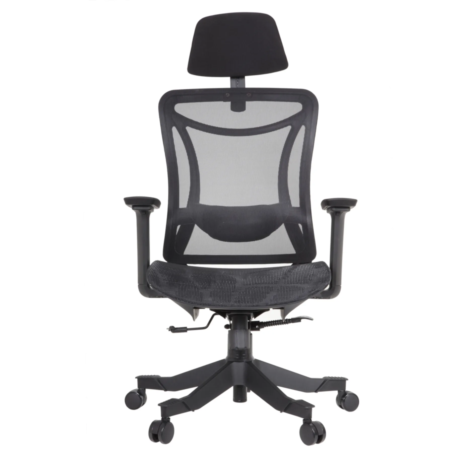 Louisa IMG_0030 Louisa Executive Chair