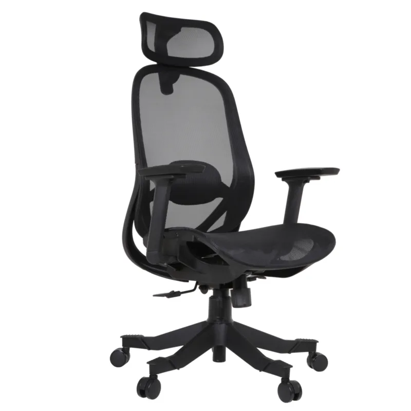 Puly IMG_0020 Puly Executive Chair