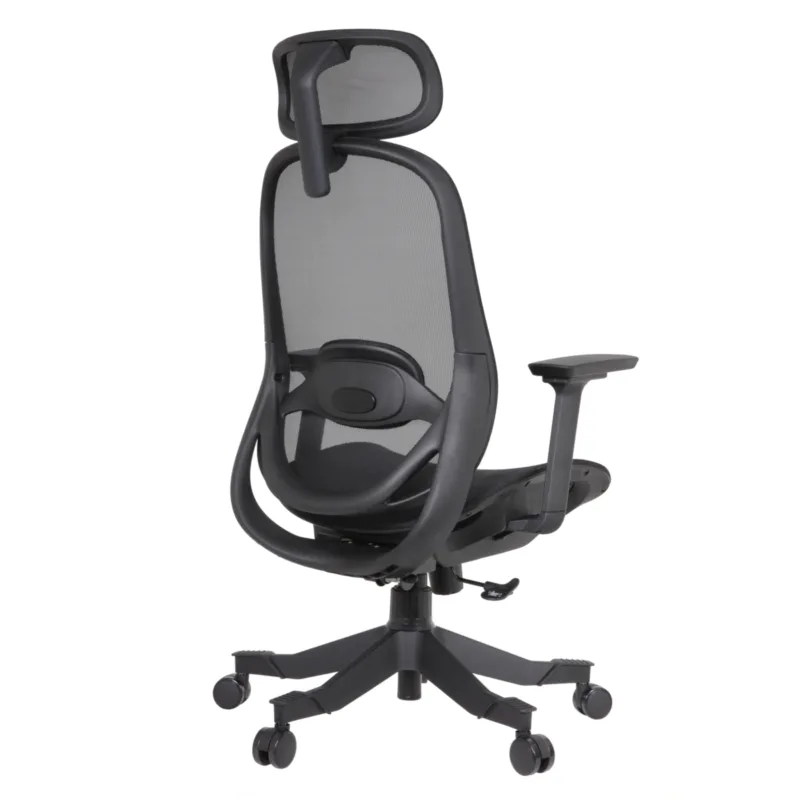 Puly IMG_0021 Puly Executive Chair