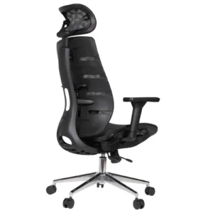 Royal Professional Chair
