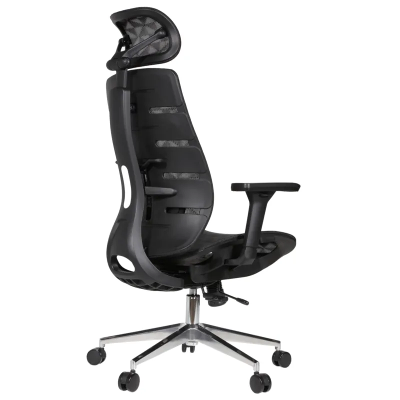 Royal Professional Chair