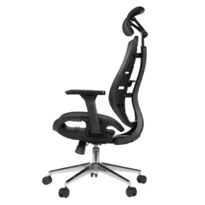 Royal Professional Chair