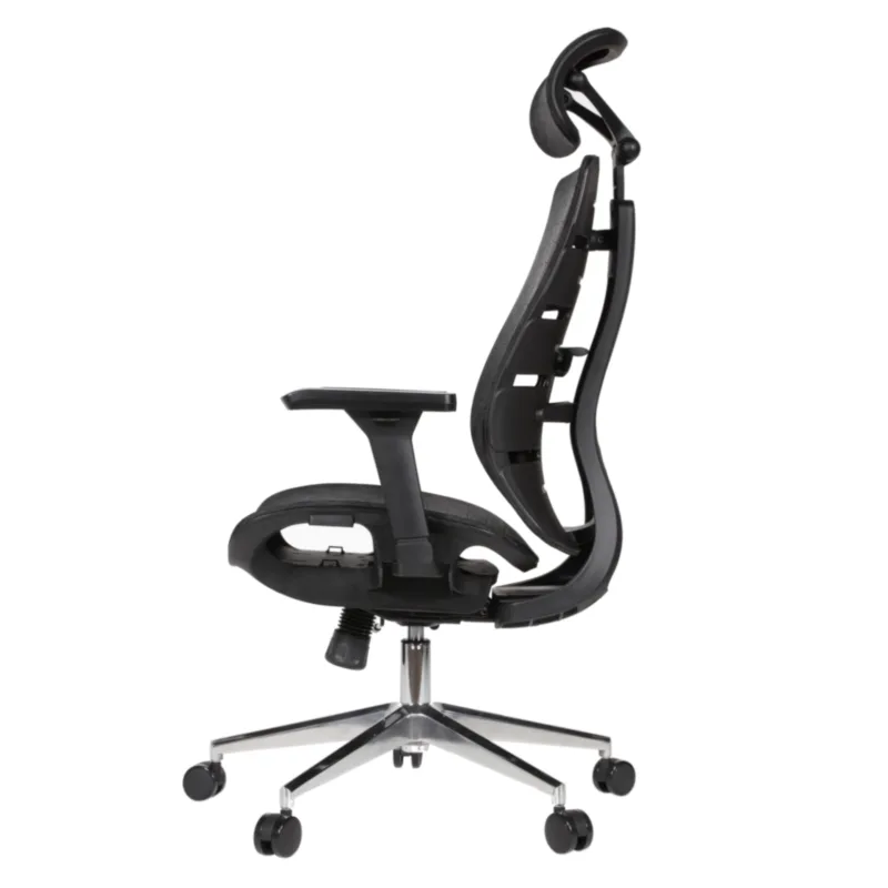 Royal Professional Chair