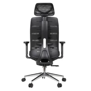 Royal Professional Chair