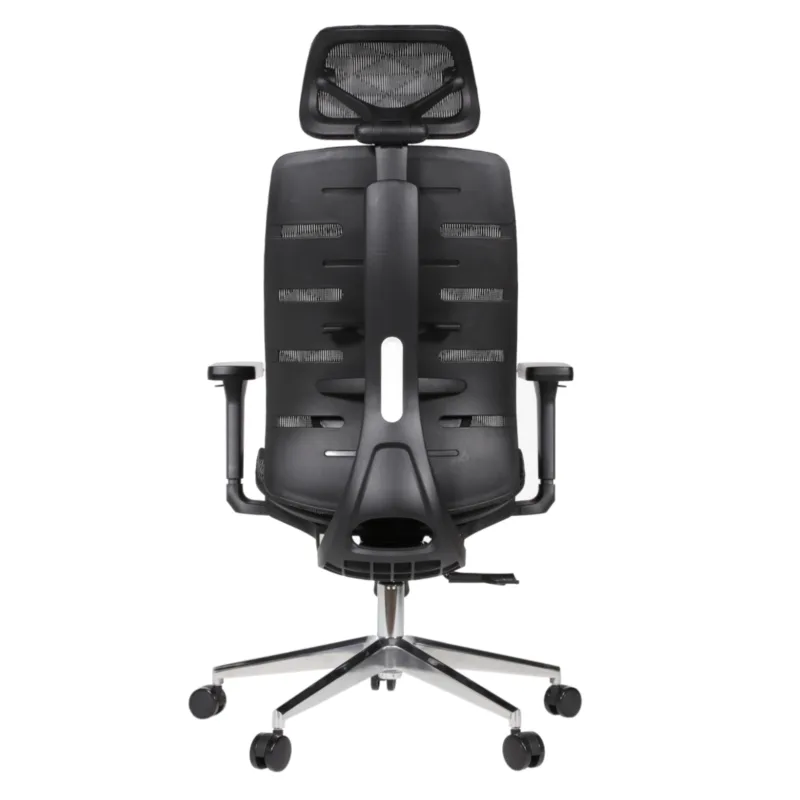 Royal Professional Chair