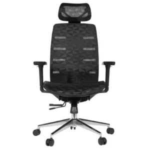 Royal Professional Chair
