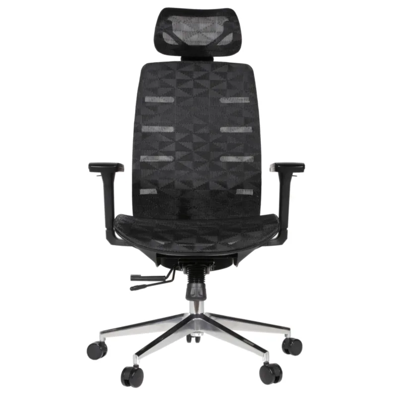 Royal Professional Chair