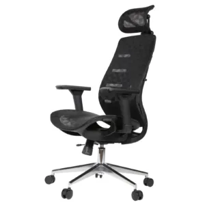 Royal Professional Chair