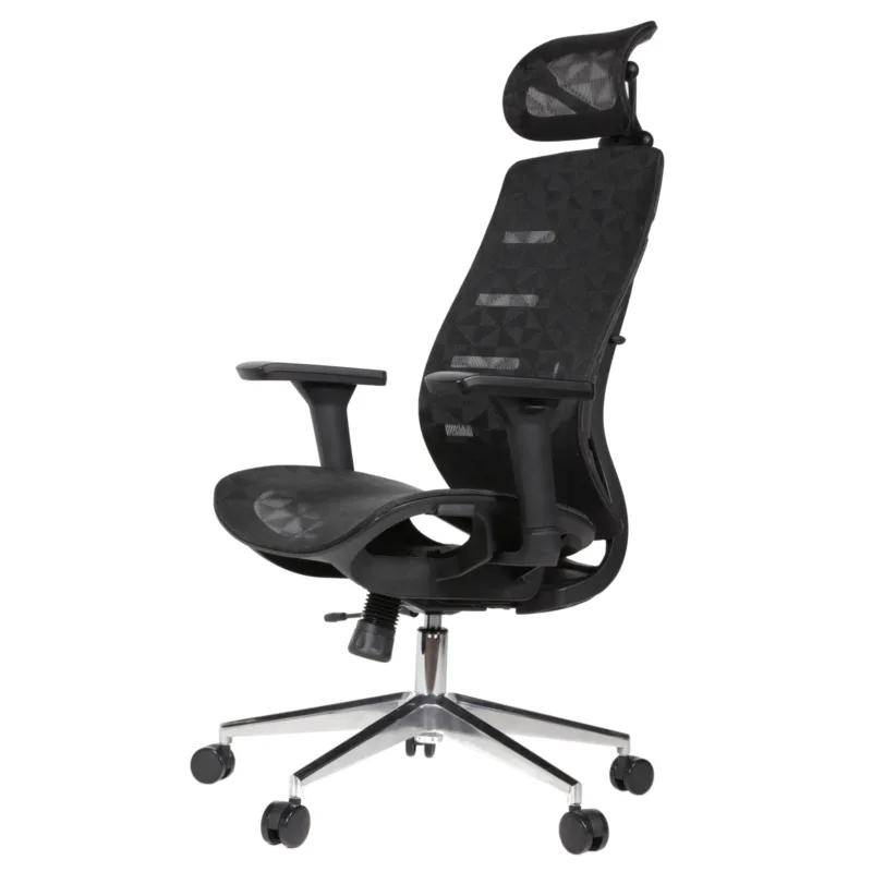 Royal Professional Chair