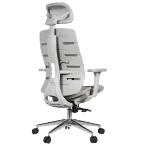 Royal Professional Chair