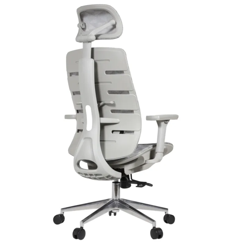 Royal Professional Chair